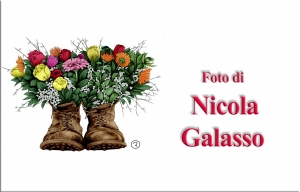 NicolaGalasso 3 (1).jpg